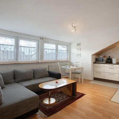 Thelen 公寓 巴特塞京根